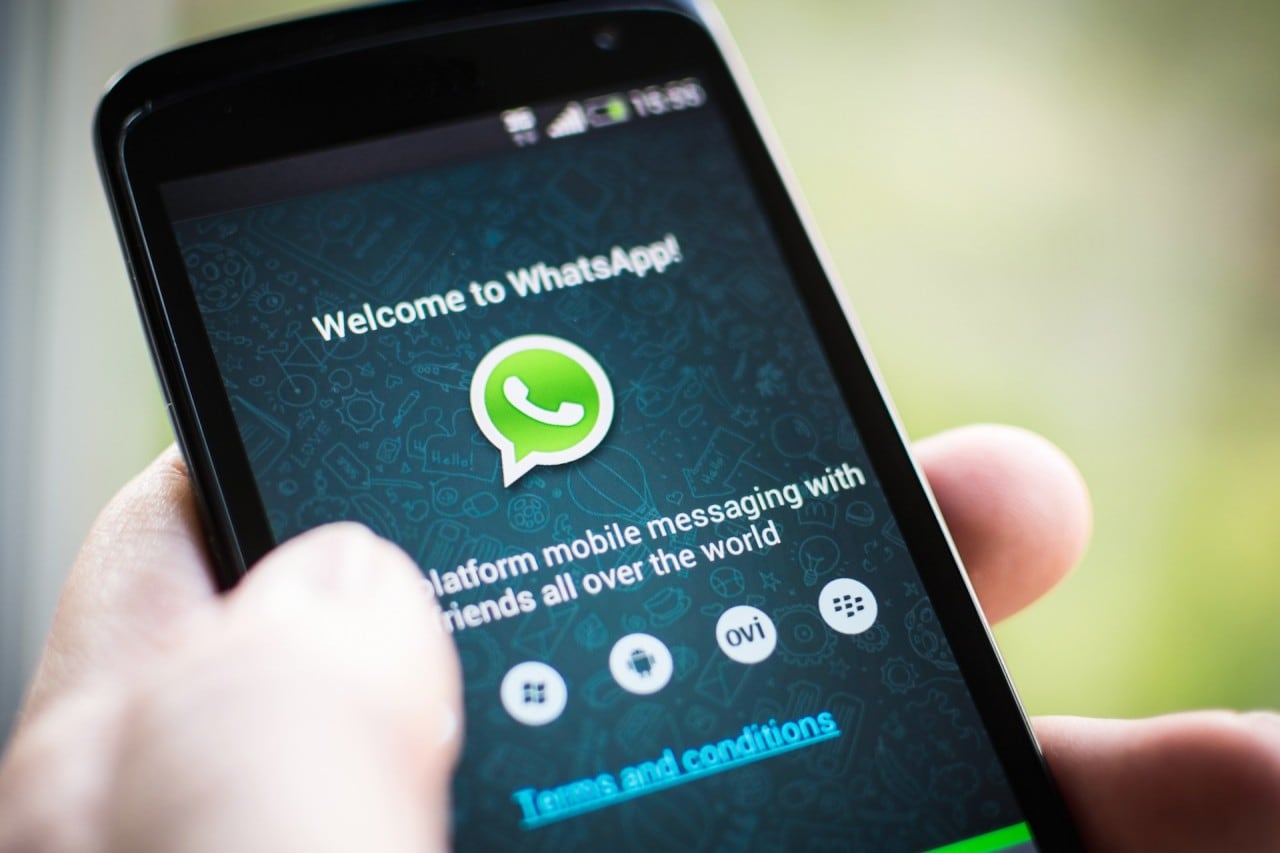 La doppia spunta azzurra di conferma di lettura su WhatsApp è apparsa a molti: e a voi?