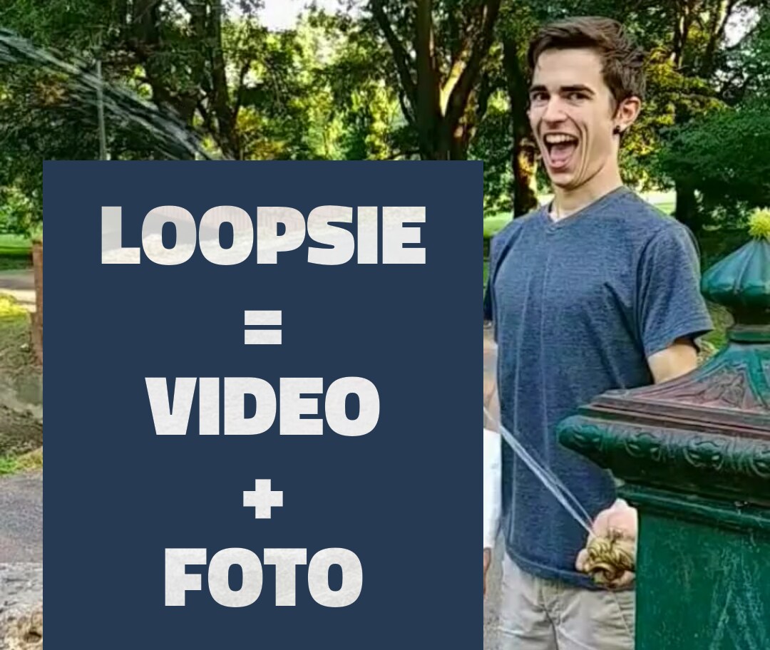 Il meglio delle foto e dei video si uniscono, nelle immagini animate di Loopsie (foto)