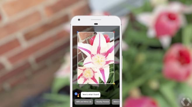 Google Lens si fa più compatto su Assistant e Foto e rinnova la grafica per Smart Text Selection (foto)