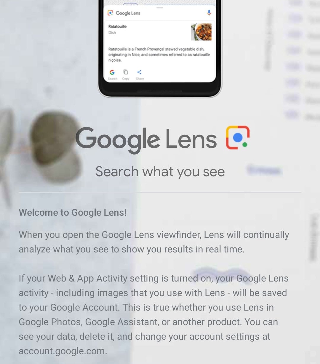 Google Lens ora può analizzare anche foto scattate in precedenza e altre immagini (foto)