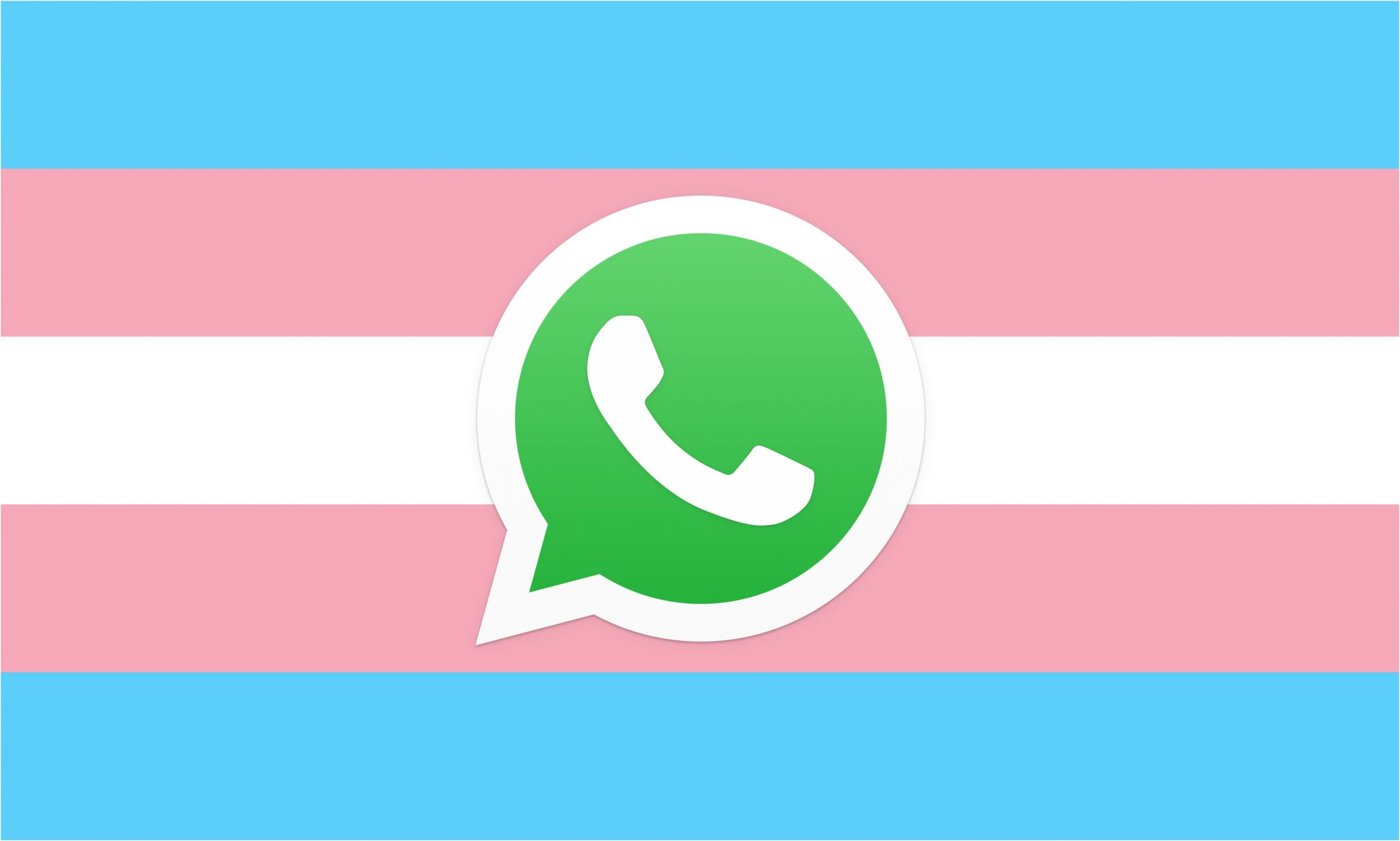 WhatsApp Beta aggiunge una nuova bandiera per la comunità transgender (foto)