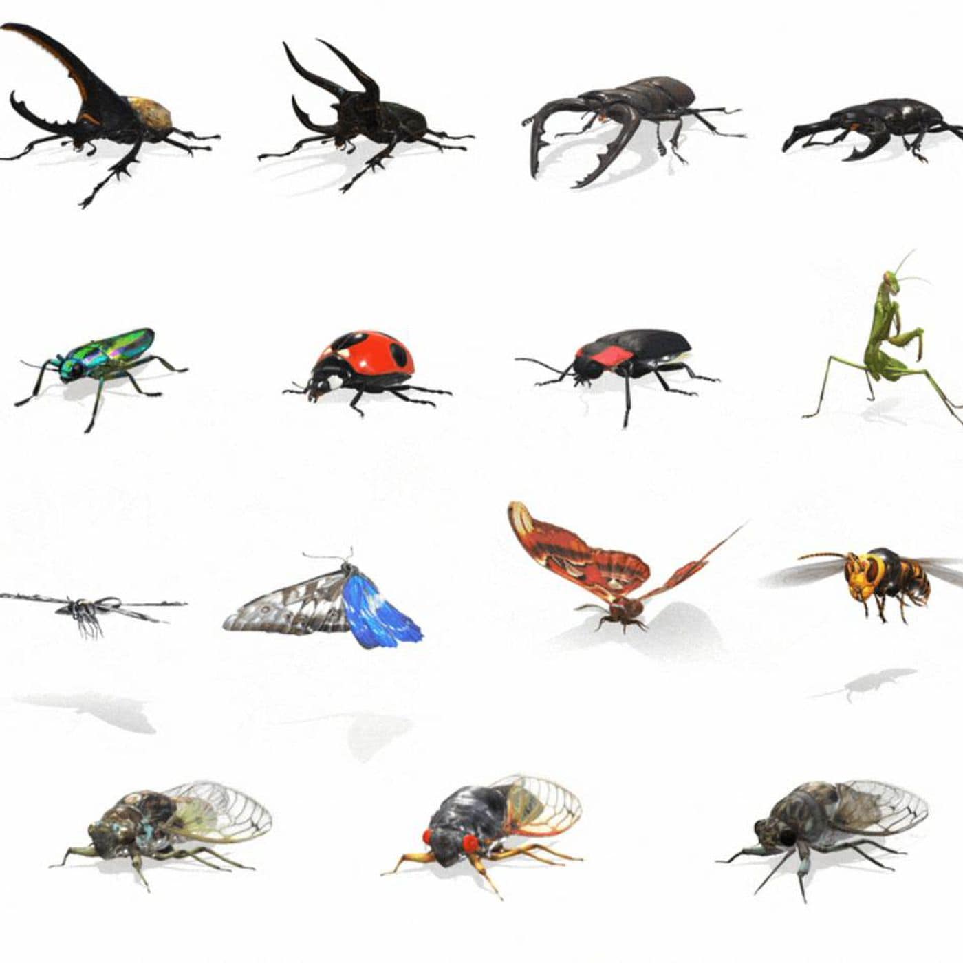 Google aggiunge una buona dose di insetti ai risultati di ricerca in Realtà Aumentata (foto)
